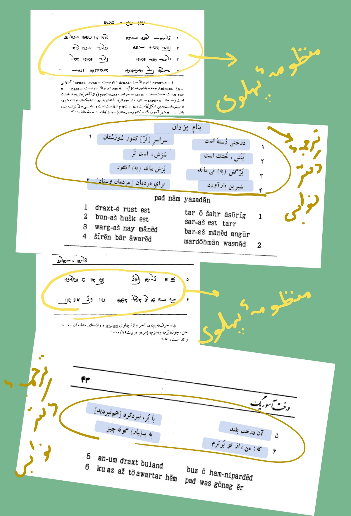 از کتاب درخت آسوریگ